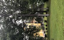 Photos éffectuées par les clients de Il Poggio di Patrignone