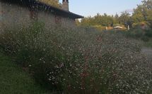 Photos éffectuées par les clients de La Casetta nel Bosco