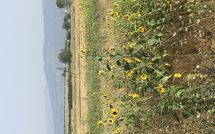 Photos éffectuées par les clients de Case Sant'Anna