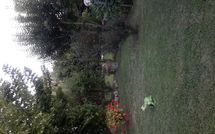 Photos éffectuées par les clients de Casina del Sole