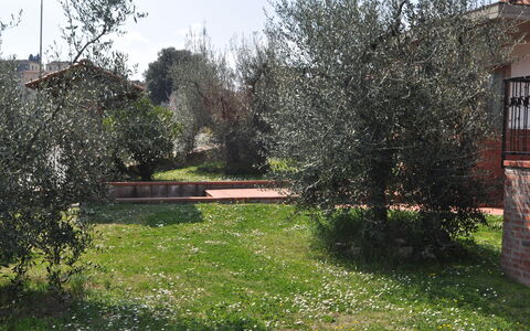 La Casina Del Canneto: Propriété, Jardin, Cour, Arbre, Herbe, Arrière-Cour, Pelouse, Maison, Lot Terre, Printemps