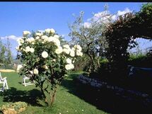 Poggetto Di Montese