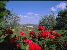Poggetto Di Montese