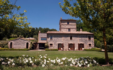 Casale Porano: Maison, Domicile, Propriété, Biens, Bâtiment, Ferme, Zone Rurale, Immobilier, Arbre, Chalet