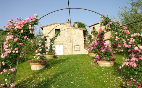 Villa Ardene: Cambre, Architecture, Fleur, Plante, Jardin, Printemps, Cour, Maison, Herbe, Pelouse