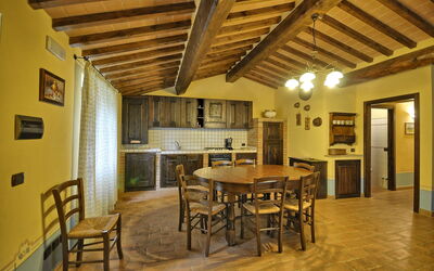 Logement:&nbsp;Tulipano