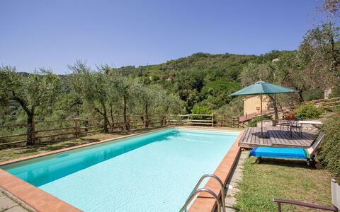 Villa Mastiano: Piscine, Propriété, Immobilier, Maison, Loisir, Biens, Bâtiment, Vacances, Domicile, Arrière-Cour