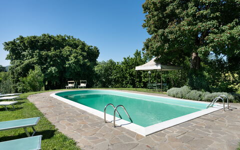 La Forra: L'Eau, Plante, Ciel, Propriété, Piscine, Ombre, Arbre, Herbe, Loisir, Rectangle