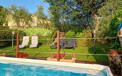 Il Circolo: Piscine, Recours, Jardin, Pot De Fleur, Loisir, Arrière-Cour, Mobilier De Jardin, Ombre, Eco Hôtel