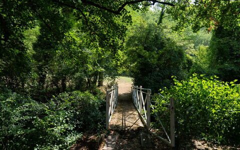Villa Paola: Feuille, Branche, Vert, Environnement Naturel, Arbre, La Nature, Bois, Végétation, Paysage Naturel, Forêt