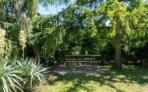 Villa Il Nido: Plante, Communauté Des Plantes, Extérieur Banc, Paysage Naturel, Arbre, Lot Terre, Ombre, Terrestre Des Plantes, Arecales, Arbuste