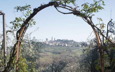 Agriturismo Paterno: Arbre, Cambre, Plante, Architecture, Suppression Des Plantes Ligneuses, Herbe, Branche, Paysage, Roche