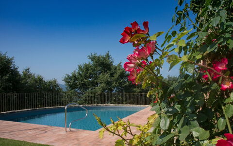 Villa Mandorlo: L'Eau, Ciel, Fleur, Plante, Propriété, La Nature, Piscine, Végétation, Arbre, Pétale