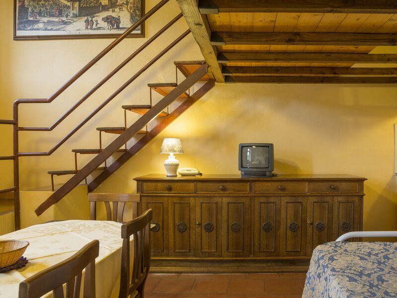 Logement:&nbsp;Belvedere 1