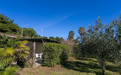 Logement:&nbsp;Straccoligno 290.1