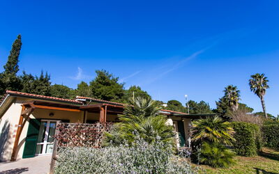 Logement:&nbsp;Straccoligno 290.1