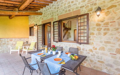 Logement:&nbsp;Coccinelle