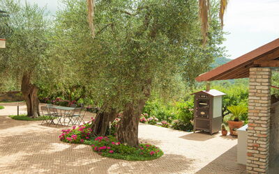 Agriturismo Musso - Diano Arentino