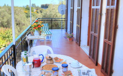 Logement:&nbsp;Flowers Of Andora - Lilla