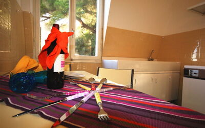 Logement:&nbsp;Ginestra