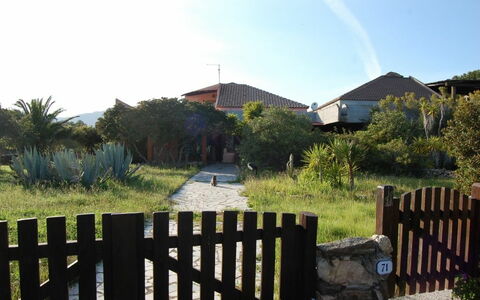 Logement:&nbsp;Nodu Pianu Bilo