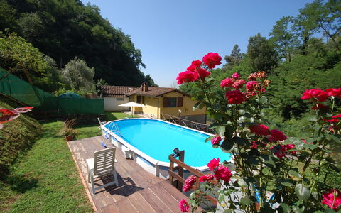 Casa Milena: Piscine, Propriété, Botanique, Fleur, Loisir, Recours, Plante, Jardin, Vacances, Villa