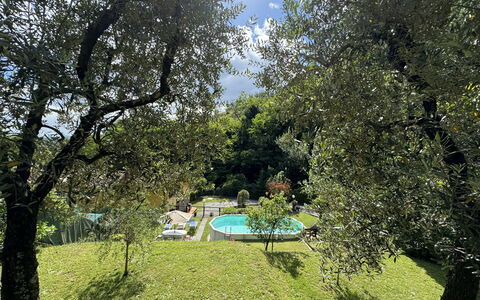 Casa Milena: Plante, Communauté Des Plantes, Ciel, Arbre, Paysage Naturel, Ombre, Lot Terre, Végétation, Lumière Du Soleil, Biome