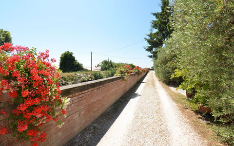 Casa Romana: Rouge, Arbre, Fleur, Route, Printemps, Plante, Voie, Botanique, Passerelle, Arbuste