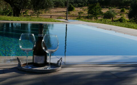 Agriturismo La Pieve: L'Eau, Piscine, Arbre, Loisir, Vacances, Caractéristique De L'Eau, Paysage, Plante, Verre, Maison