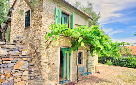 Country Home Il Passatempo: Bleu, Vert, Mur, Maison, Propriété, Jaune, Bâtiment, Porte, Zone Rurale, Arbre