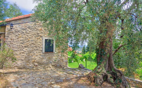 Country Home Il Passatempo: Arbre, Propriété, Maison, Mur, Immobilier, Chalet, Suppression Des Plantes Ligneuses, Plante, Lot Terre, Zone Rurale