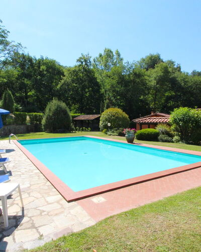 Villa le Balze: Plante, Ciel, Propriété, Piscine, Ombre, Arbre, L'Eau, Chaise, Herbe, Loisir