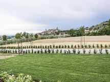 Panoramic view