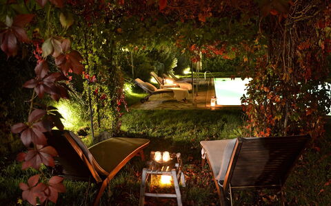 Villa Magnolia: Éclairage, Lumière, Nuit, Arbre, Éclairage Paysager, Feuille, Ciel, Plante, Domicile, Maison
