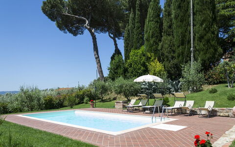 Villa Camelia: Propriété, Arbre, Herbe, Pelouse, Immobilier, Paysage, Aménagement Paysager, Parc, Jardin, Architecture