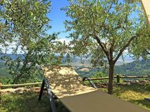 Panoramic view