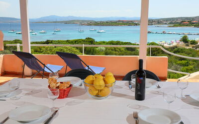 Logement:&nbsp;Vista Playa 1 710.1