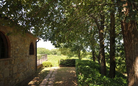 Agriturismo la Papessa: Plante, Fenêtre, Feuille, Arbre, Paysage Naturel, Surface De La Route, Ombre, Lumière Du Soleil, Végétation, Herbe