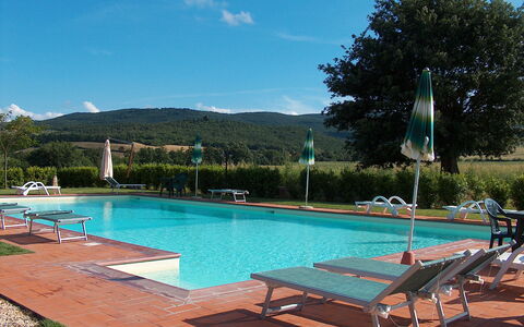 Bazzani Apartments In Siena: L'Eau, Ciel, Plante, Propriété, Meubles, Piscine, Nuage, Bleu Azur, Balancelle, Arbre