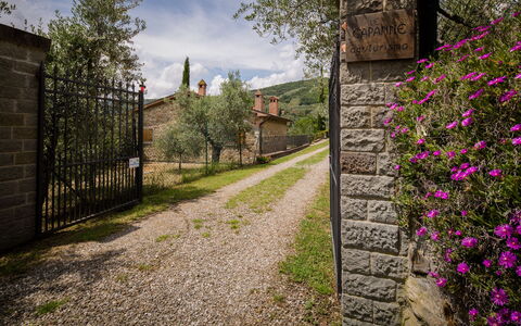 Villa Le Capanne: Végétation, Fleur, Printemps, Mur, Arbre, Herbe, Plante, Arbuste, Maison, Botanique
