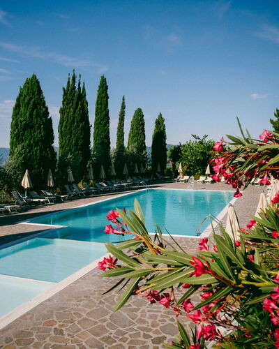 Fattoria Fronzano: L'Eau, Fleur, Ciel, Nuage, Plante, Propriété, Piscine, Arbre, Paysage Naturel, Arecales