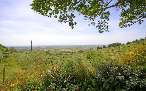 Villa Il Palazzone: Paysage Naturel, La Nature, Végétation, Environnement Naturel, Ciel, Arbre, Réserve Naturelle, Feuille, Prairie, Champ