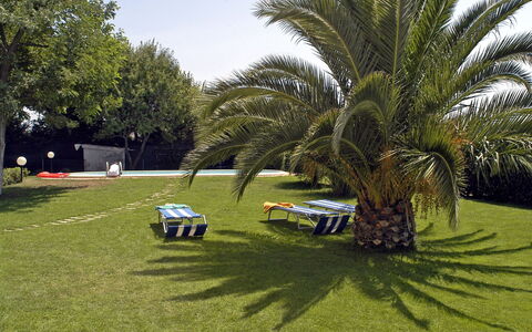 Poderino: Herbe, Arbre, Pelouse, Palmier, Véhicule, Arecales, Voiture, Suppression Des Plantes Ligneuses, Plante, Elaeis