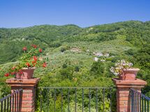 Villa Roncovisi