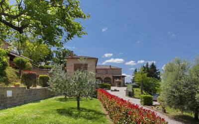 Volterra 819
