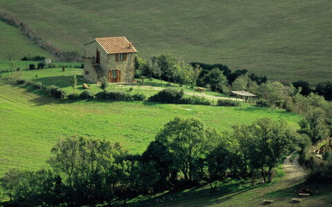 Agriturismo le Calle: Plante, Vert, Fenêtre, La Nature, Paysage Naturel, Bâtiment, Arbre, Végétation, Maison, Lot Terre