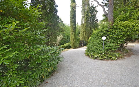 Villa Del Castagno: Végétation, Arbre, Arbuste, Environnement Naturel, Feuille, Paysage Naturel, Réserve Naturelle, Plante, Biome, Passerelle