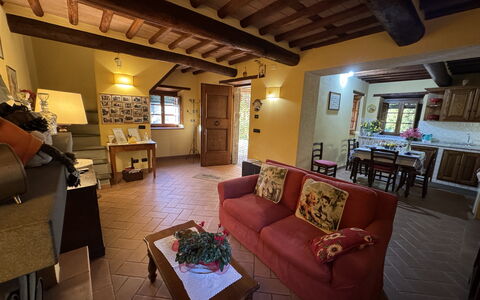 Batticapo di Ilaria: Propriété, Canapé, Table, Meubles, Design Intérieur, Éclairage, Salon, Cadre, Canapé-Lit, Bois