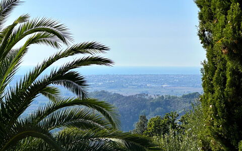 Borgo Bucatra Buonvento: Ciel, Paysage Naturel, Terrestre Des Plantes, Végétation, Arecales, Arbre, Paysage, Plante, Palmier, Forêt