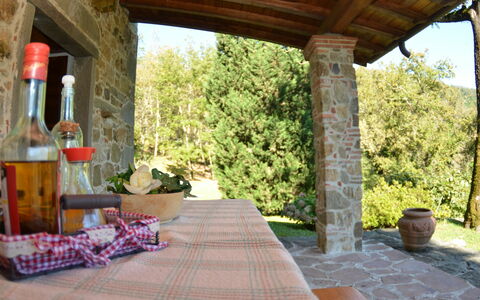 Vignoli: Propriété, Bâtiment, Pièce, Porche, Maison, Patio, Immobilier, Domicile, Biens, Villa